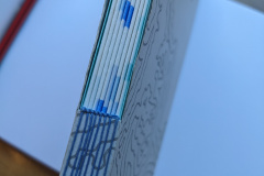 PXL_20240220_165755259
